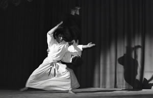 Heart Of San Francisco Aikido Special Events heart-of-san-francisco-aikido-special-events