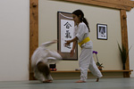 Children's Aikido Picture