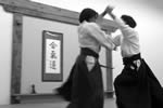 Aikido is movement